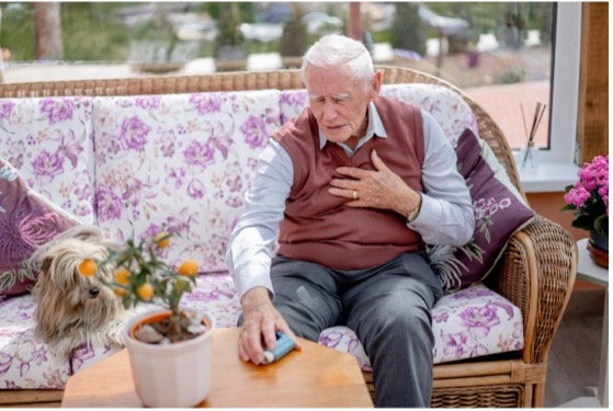 LJ februari 205 04
