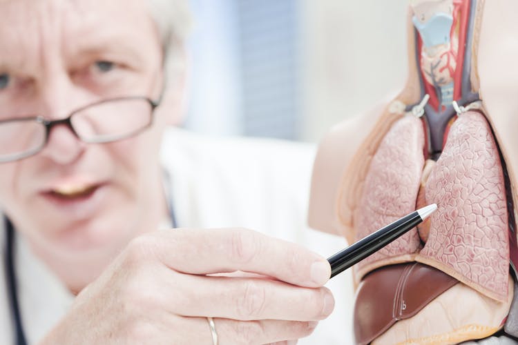 ec38a8eb 1cc7 4b56 bcbb 6ec5000b86ab Doctor pointing at lung 181884332 3867x2578